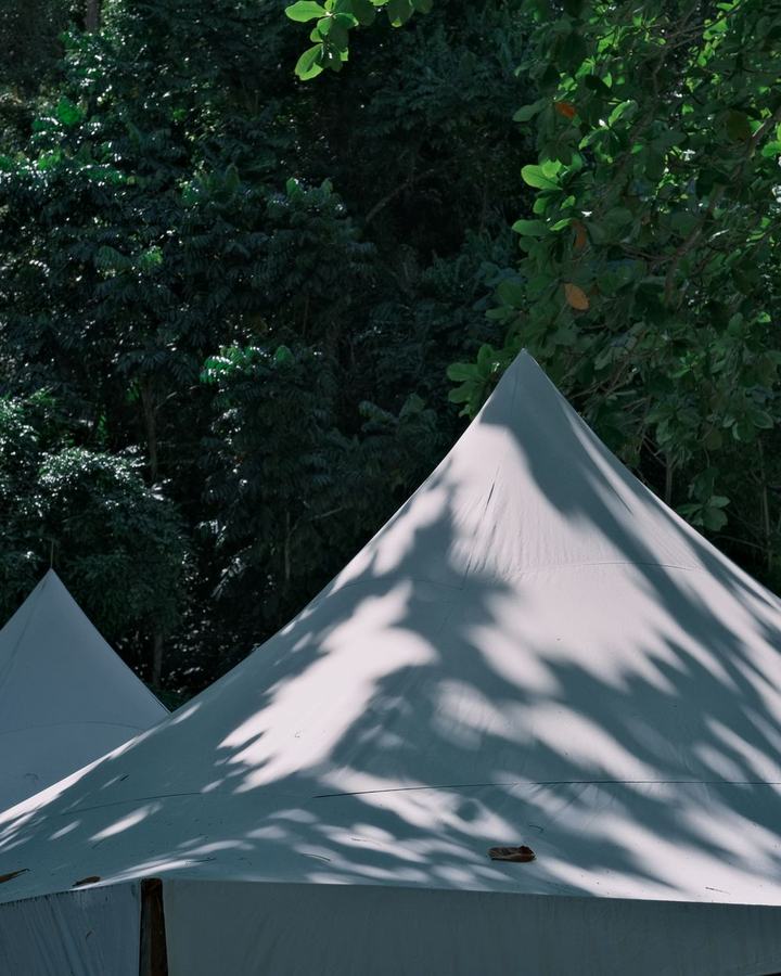 Canvas glamping tents in a forest camp, a use case for The Lavatory NorCal shower and restroom trailers