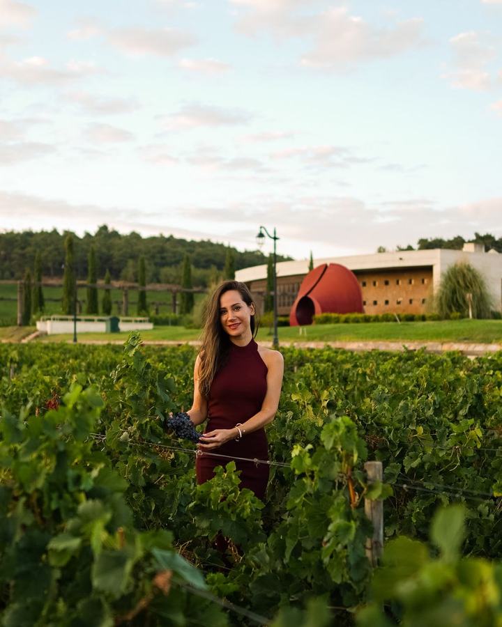 Woman walking the vineyard rows at a winery at sunset, a use case for The Lavatory NorCal restroom trailers