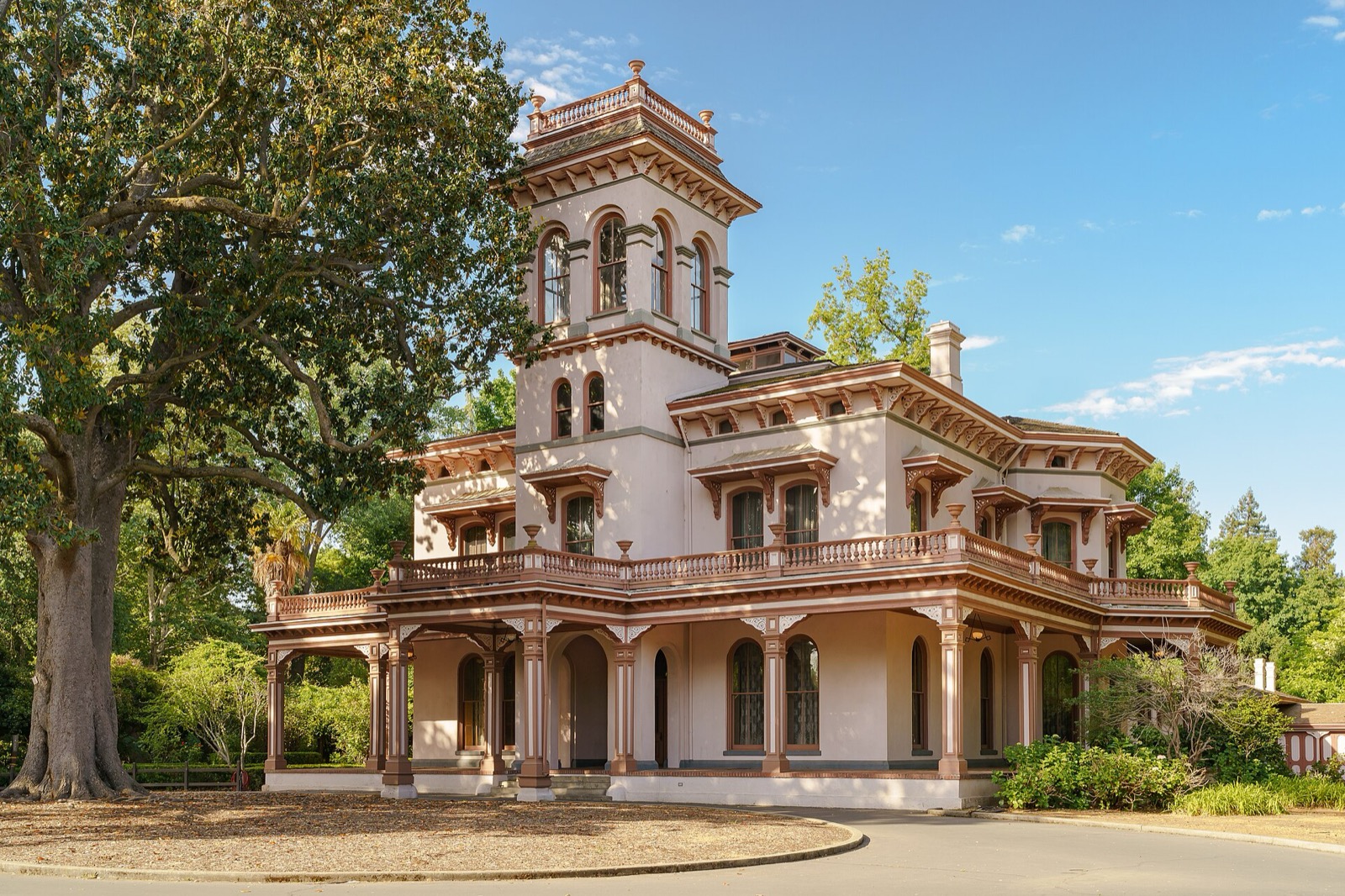 Bidwell Mansion and its big shade tree beside the Chico State campus, an area served by The Lavatory NorCal