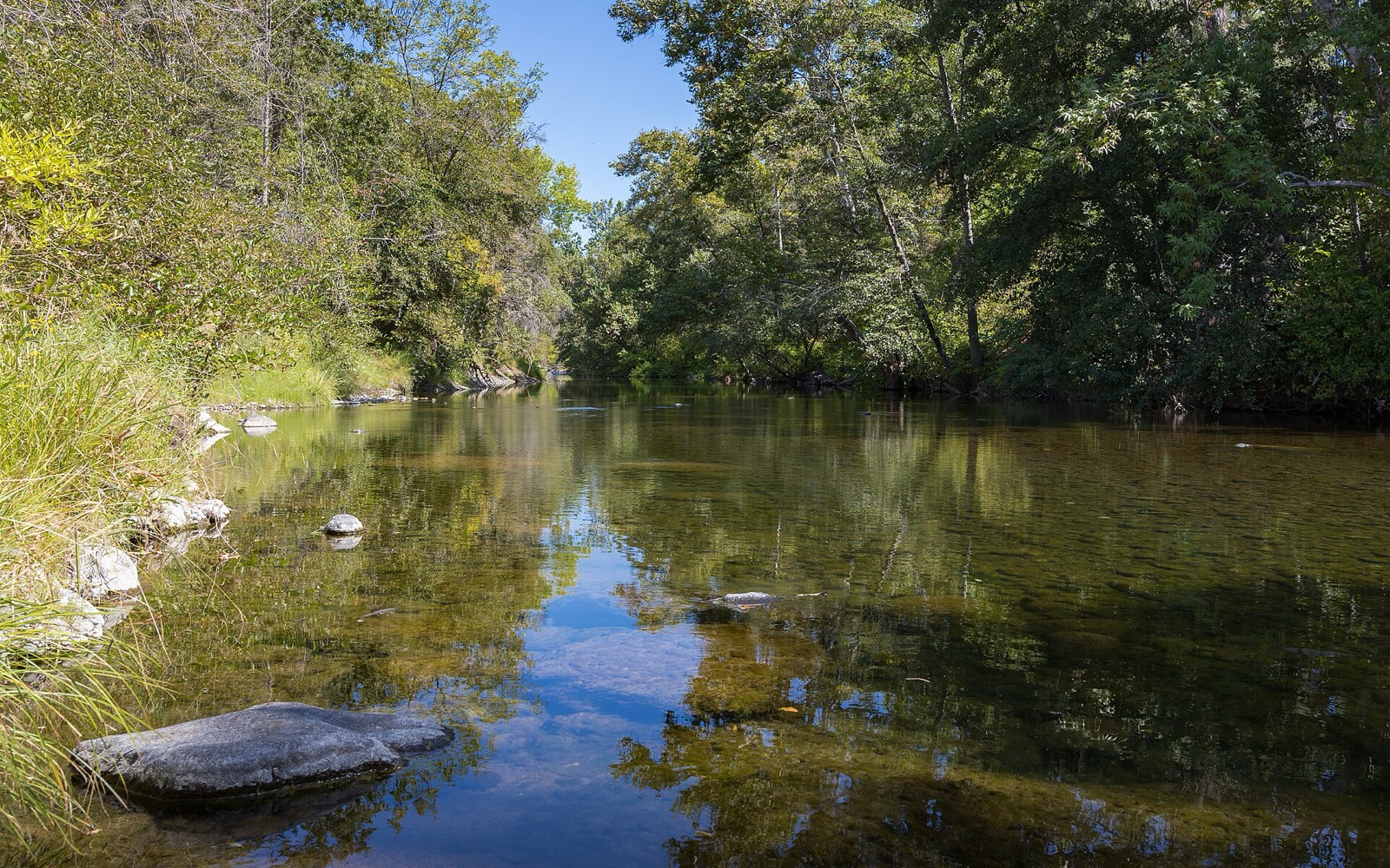 Big Chico Creek running clear and shallow through Upper Bidwell Park in Chico, an area served by The Lavatory NorCal