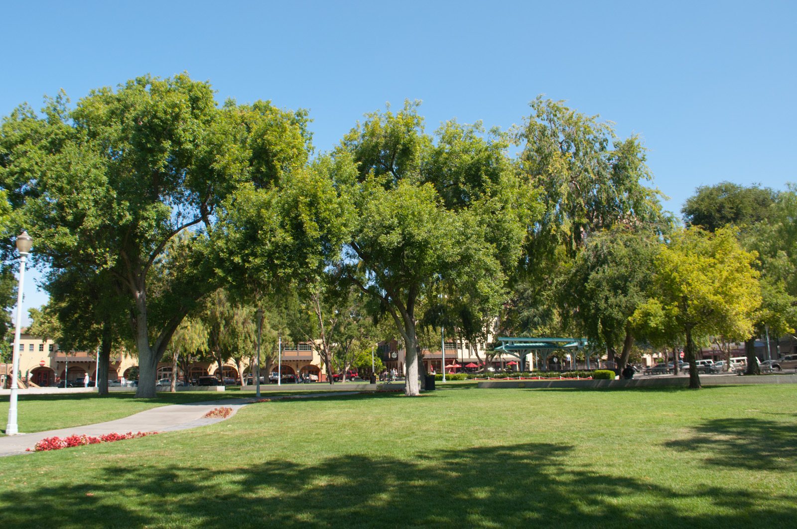 Shade trees and lawn at Todos Santos Plaza in downtown Concord, near our event trailer drop spots, The Lavatory NorCal