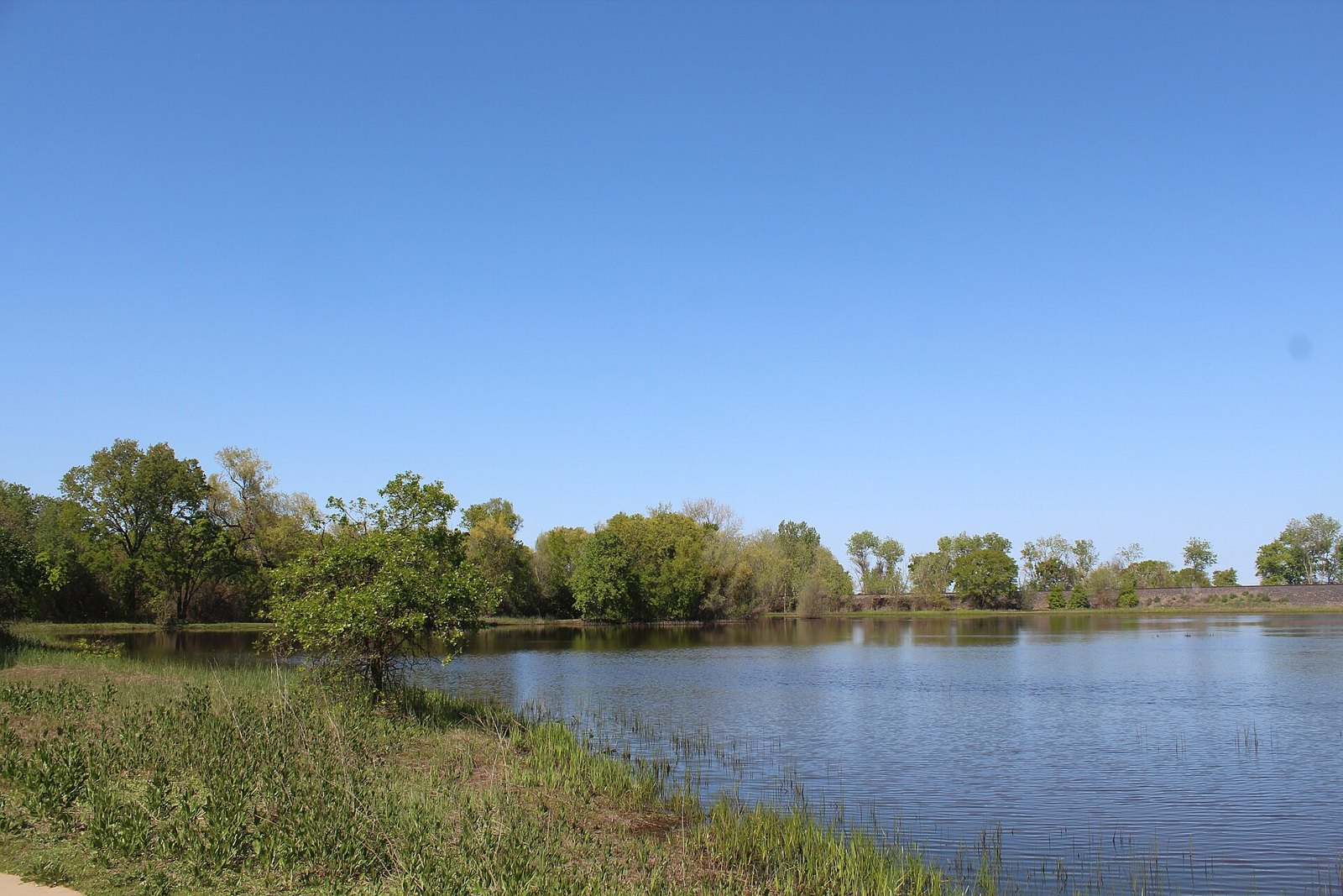 Pond and valley oaks at the Cosumnes River Preserve south of Elk Grove, an area The Lavatory NorCal serves