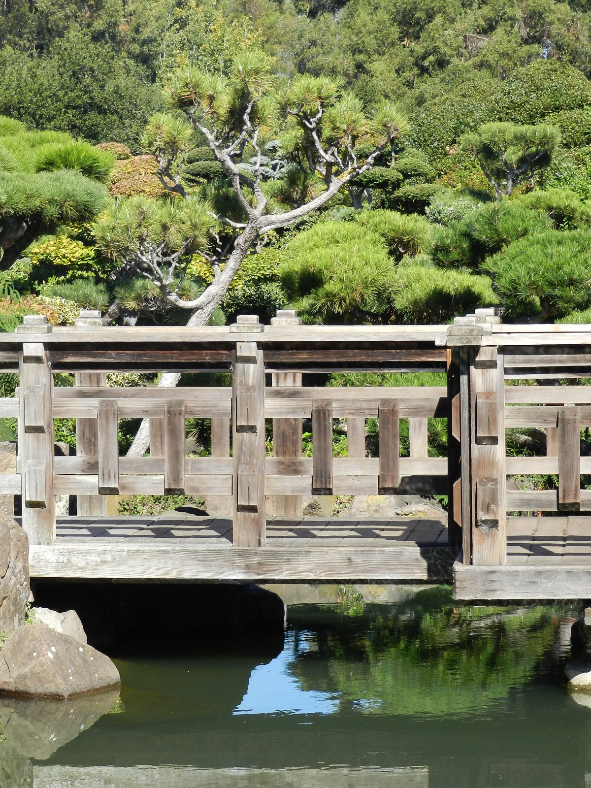 Wooden footbridge over a pond among pruned pines at the Japanese Gardens in Hayward, served by The Lavatory NorCal