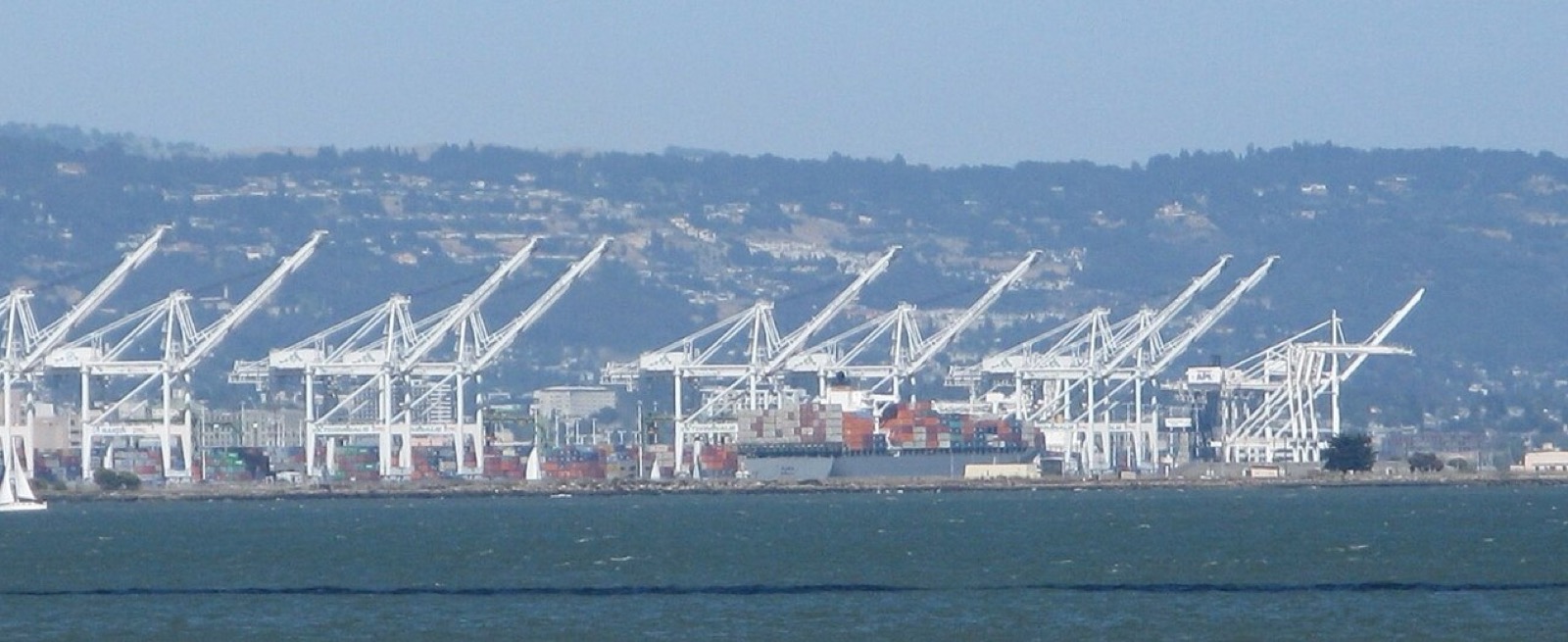 Row of white container cranes at the Port of Oakland seen across the bay, an area served by The Lavatory NorCal