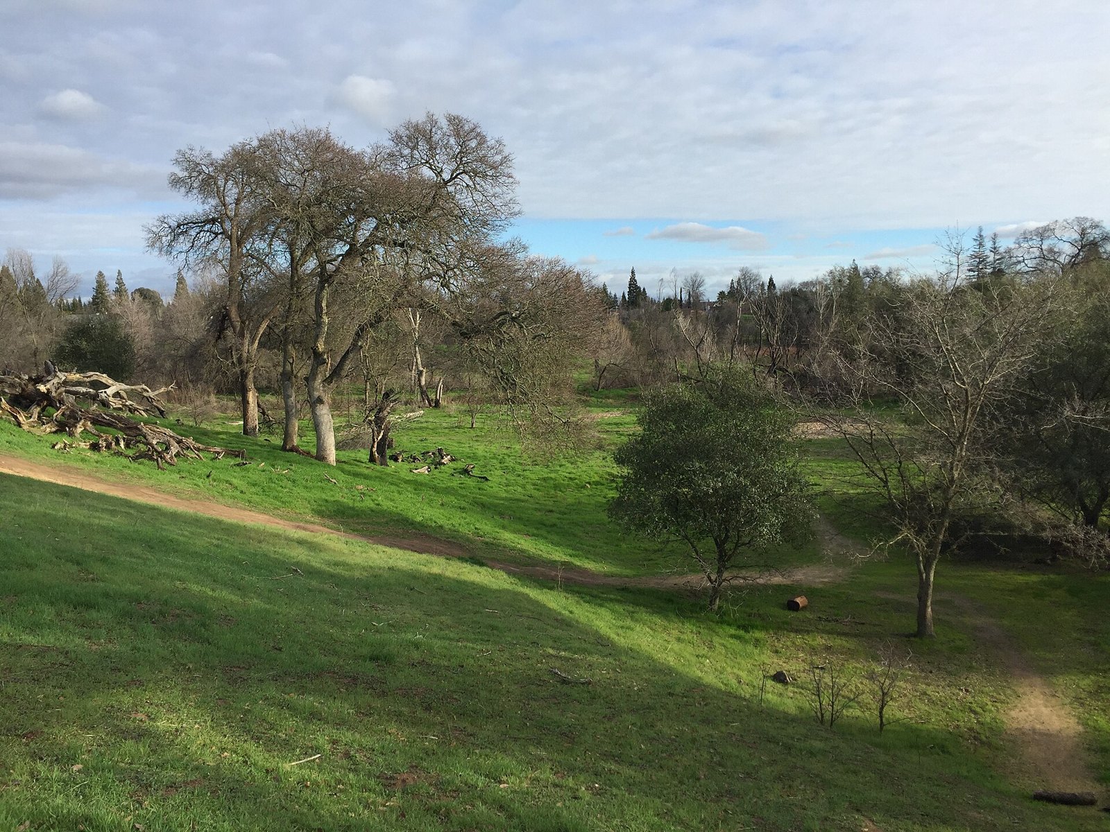 Oak trees and green grass along a trail at Maidu Regional Park in Roseville, an area The Lavatory NorCal serves