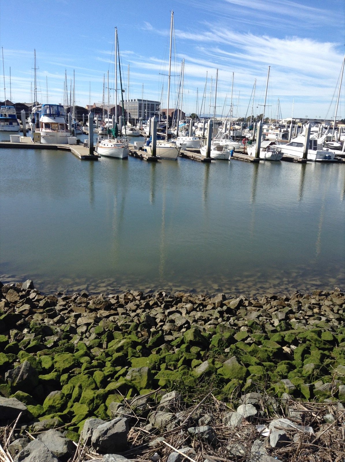 Sailboats and power boats at the Vallejo Marina on the Napa River near our waterfront delivery area, The Lavatory NorCal